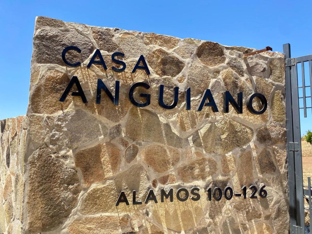 Casa Anguiano Valle De Guadalupe Kültér fotó